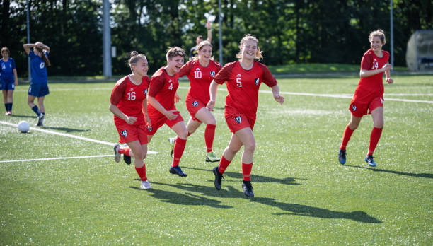 我们可以预 我们可以预